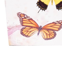 S/2 Paragüeros MARIPOSAS