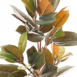 Planta FICUS verde oscuro 90cm